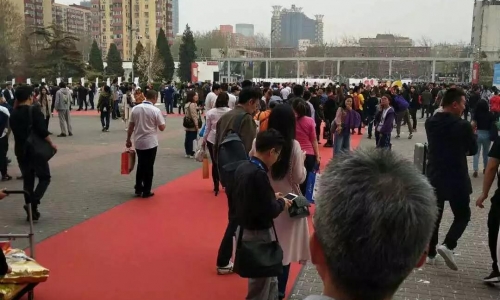 回顾自述：来自一个来第五届京宠展现场小编!