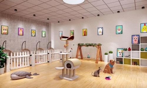 四步曲|精准获取顾客流量,从此宠物店躺着赚钱！