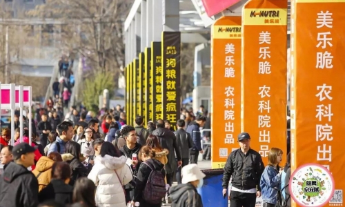 逆流而上！蓝湖国际第六届京宠展的逆袭！