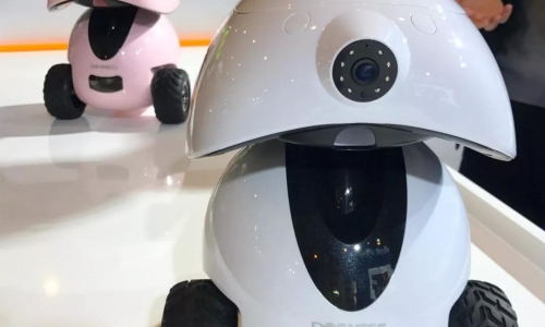 高甜预警:多尼斯机器人在京宠展的爱情故事