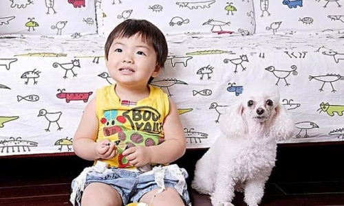 宝宝和宠物相处，都需要注意些什么？