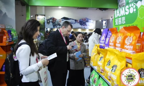 第六届京宠展娱乐高人气，明年更嗨皮!