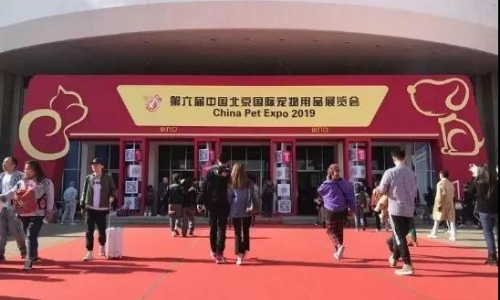 蓝湖国际逆流而上 逆袭京宠展！