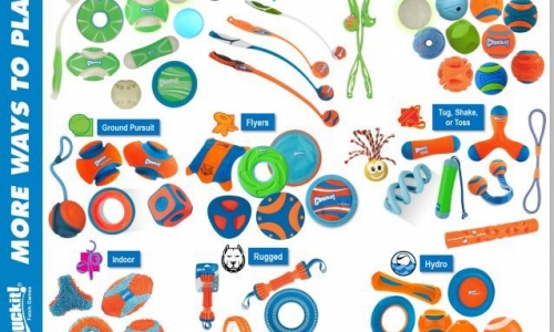 爱宠商贸：精品汇这第六届京宠展