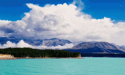 新西兰iti：90%鲜原肉猫狗风干粮/主食罐