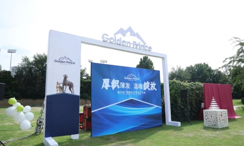 恭贺丨Golden Prince®淘力派宠物处方食品正式上市