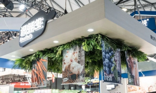 定制安心宠物鲜粮，伯纳天纯推出高端宠物鲜食品牌「识鲜生」