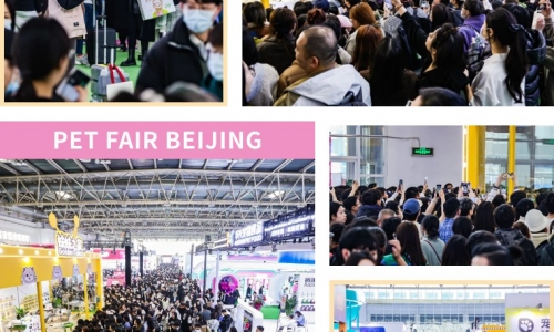 D3丨京宠进度条已过3/4，速速奔赴最后一天的精彩！