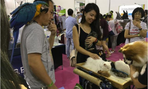 宠物展偶遇一家带着8种不同的宠物，太拉风了！