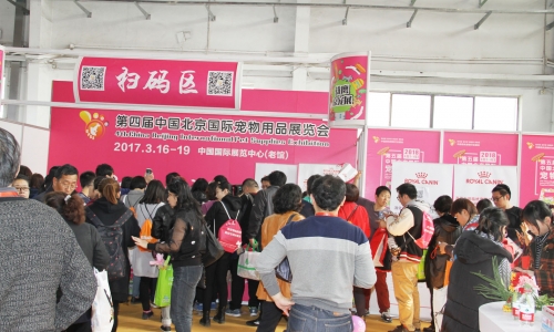 宠物展震撼来袭 萌宠等你来撩