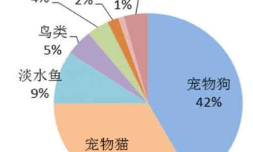 中国宠物市场-到底有多大