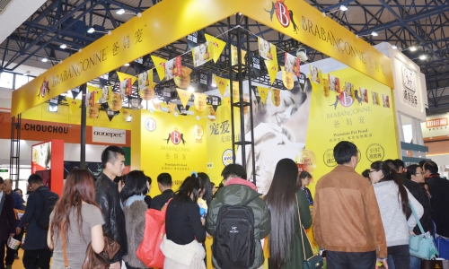 爸妈宠参加京宠展,别具一格