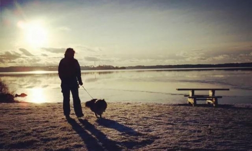 铲屎官日常护理汪星人足部不可忽视！