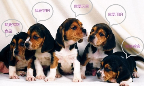 你宠我嘛?宠我就来京宠展!