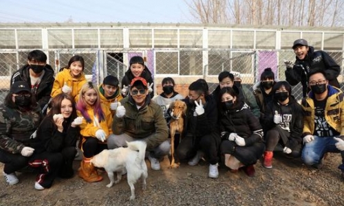 莫少聪携众艺人助力宠物收容,送流浪猫狗温暖寒冬!