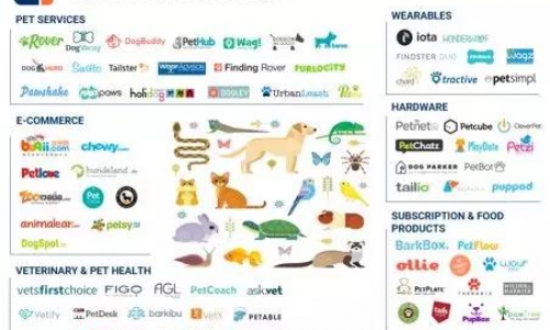 3亿美元：软银大手笔进军宠物行业！