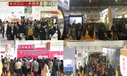 京宠展动人心弦现场，邀您共赴采购交流盛会！