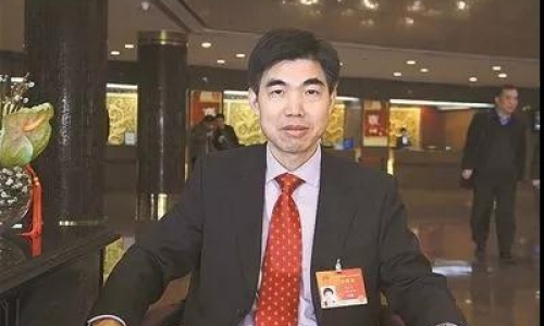 聚焦两会|虐待动物事件时有发生 人大回应是否考虑出台法律