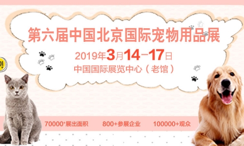 访问焦谈:第五届京宠展,亮点看不停 迎接第六届展会