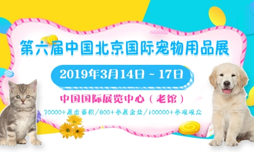 宠宠欲动 轰动帝都——2019北京宠物展