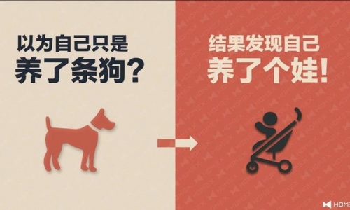 报告:截止2017年全国宠物猫狗数量上涨至1340亿元!