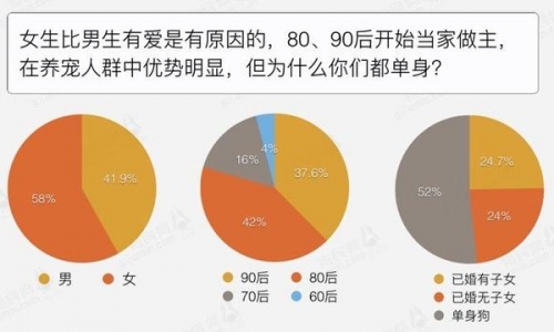 宠物消费升温 市场潜力引领消费再次升级！