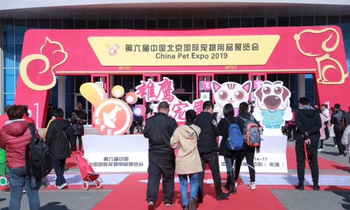 优露清携手宠音亮相“雄鹰京宠展”，人气爆棚！