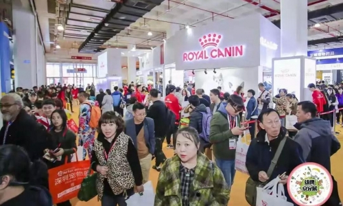 穿梭时空回看京宠展：猫产品井喷，主粮竞争激烈！