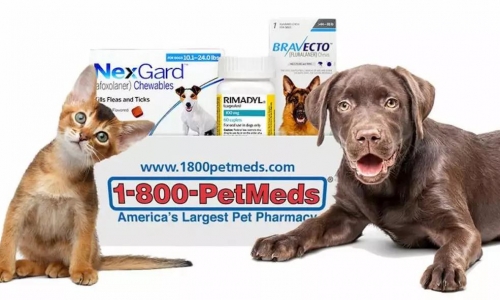 美国宠物药市场竞争加剧，Chewy、沃尔玛都看上了这块“香饽饽”