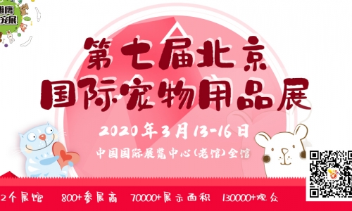 闪耀之星 燎原之势-京宠展 2020再创新佳绩