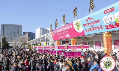 帝都城-北京最大高端宠物狂欢节来了!