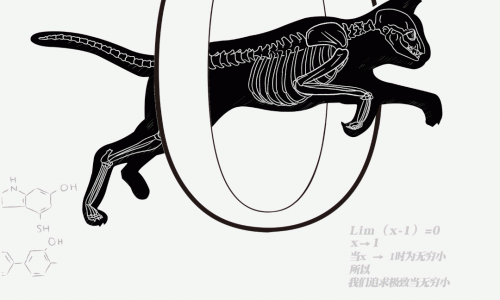幂食新品｜一款还原动物野外采食习性的猫粮