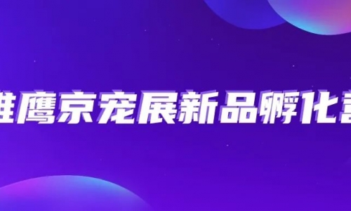 谁能披荆斩棘C位出圈！